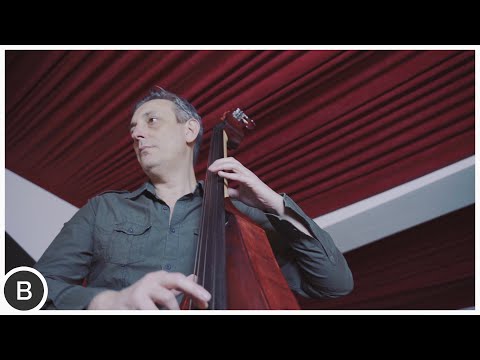 ROBERTO'S BLUES - Nenad Vasilic