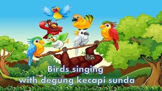 Download lagu Relaxing instrumental music with birds singing - Degung Sunda 2022 mp3 Download lagu Relaxing instrumental music with birds singing - Degung Sunda 2022 mp3
