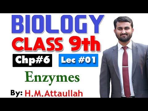 Enzymes | Smart syllabus | Chapter 6 | 9th class Biology | ALP | Lec 1