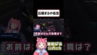 【#ストグラ】丘猫まるの名言【宙星ぱる】