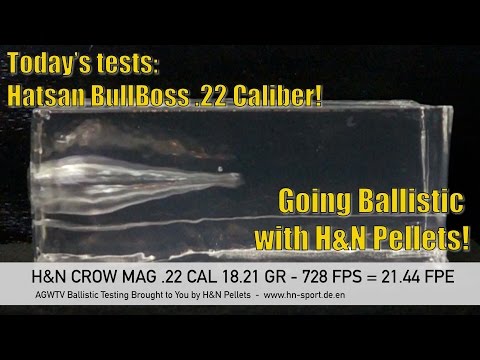 Going Ballistic - Hatsan BullBoss Bullpup .22 Caliber - AirgunWebTV Sponsored by H\u0026N Pellets!