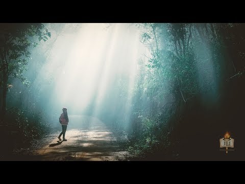 Unbeatable (Parshat Ki Teitzei)