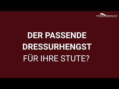 Der passende Dressurhengst für Ihre Stute