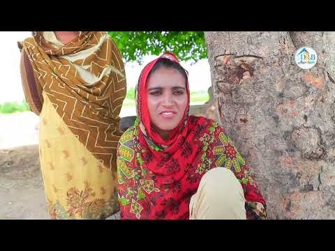 #funny Fradiye Mian Biwi Pakry gaye, Funny Video By DRB TV (Official Video)