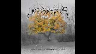 Eclipse Eternal - Crossing the 45th Parallel (Tribute to David Gold of Woods Of Ypres)