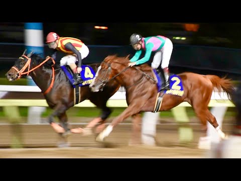 2018.06.27帝王賞(G1)ゴールドドリーム＆ルメール＠大井競馬場