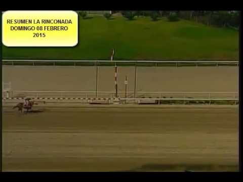 RESUMEN LA RINCONADA DOMINGO 08 FEBRERO 2015