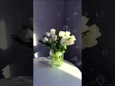 Your favourite flower 😊🥰😀😇😘😘