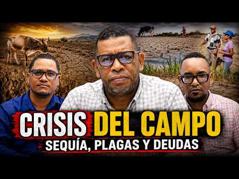 Agricultura en San Juan enfrenta sequía, plagas, deudas y falta de apoyo oficial