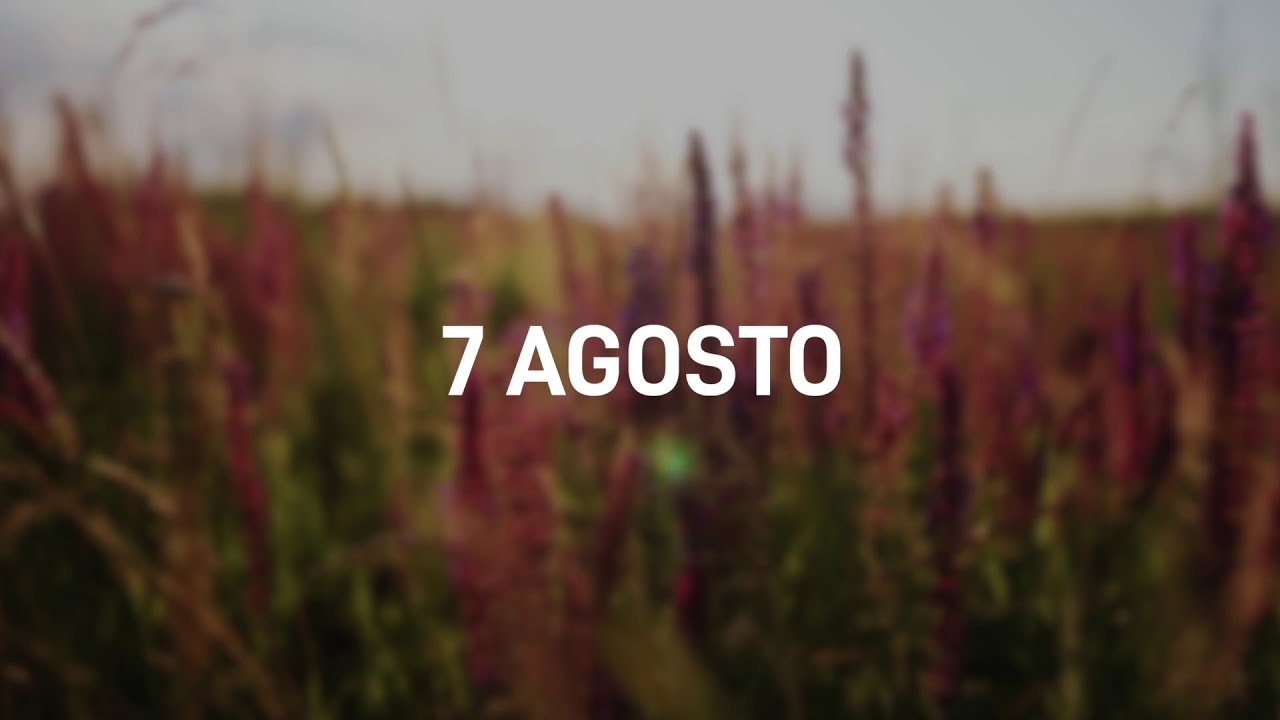 7 Agosto 2025 | Meditazione Parole di Vita