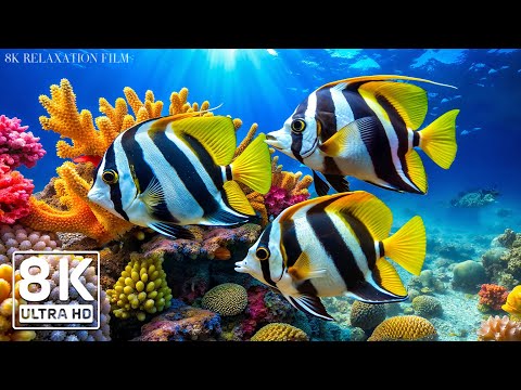 AQUARIUM 8K UHD - Beautiful Fish Swimming & Colorful Sea Life 🐳 Relaxing Music of the Blue Ocean #2