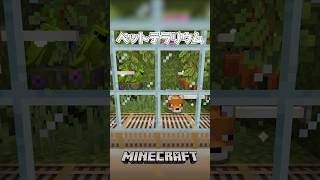 【Minecraft】ペットテラリウム（Pet Terrarium）#shorts #minecraft #minecraftshorts #マインクラフト #マイクラ