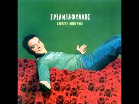 Τριαντάφυλλος - Ένας καθαρός εγωισμός