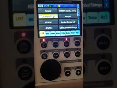 Juzisound total solo sampler 2. Strings