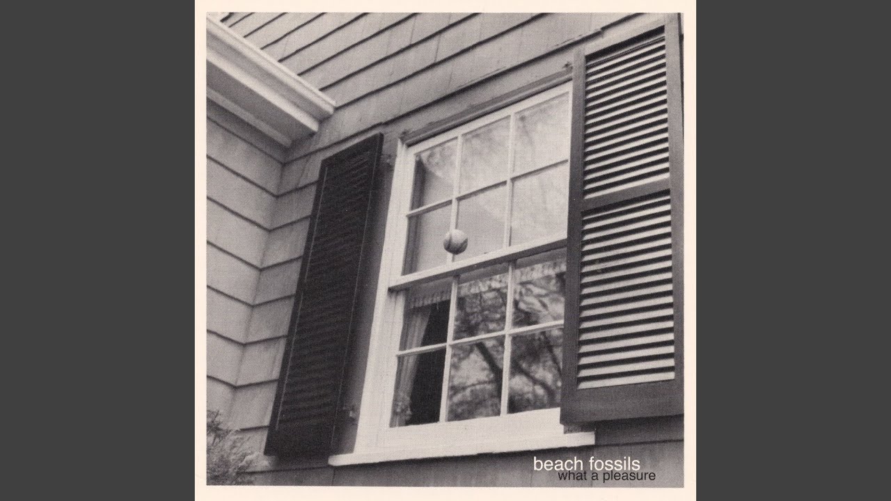 Beach Fossils - Adversity