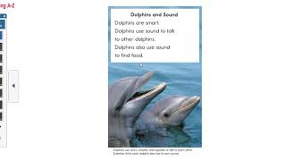 Dolphin read aloud Raz Kids