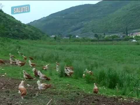 Lo scricchiolio delle articolazioni in un bambino Come sedersi al lavoro se il mal di schiena