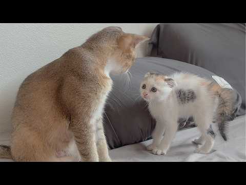 YouTube 썸네일