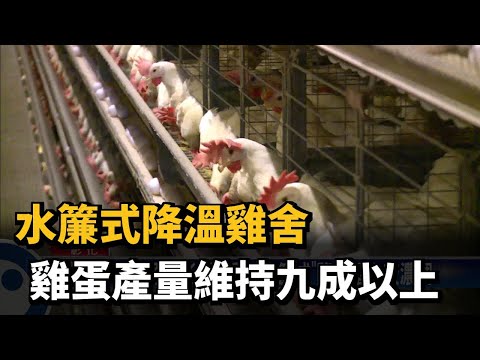 水簾式雞舍造價