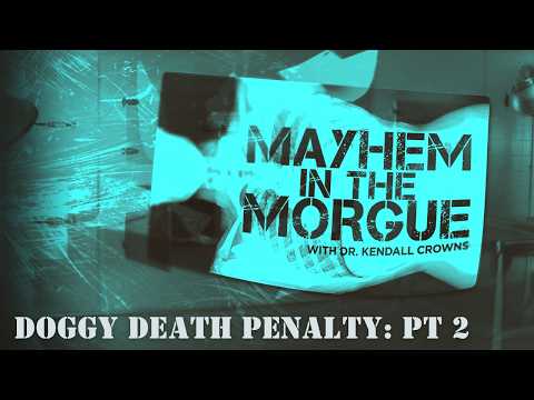 Doggy Death Penalty: Part 2 | Mayhem in the Morgue
