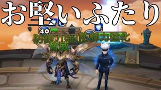 ～防御パ始めました～耐久も上がって火力も上がる”防御バフ”で硬めまくって相手を殴り続けるの、得じゃない？普通に【サマナーズウォー】