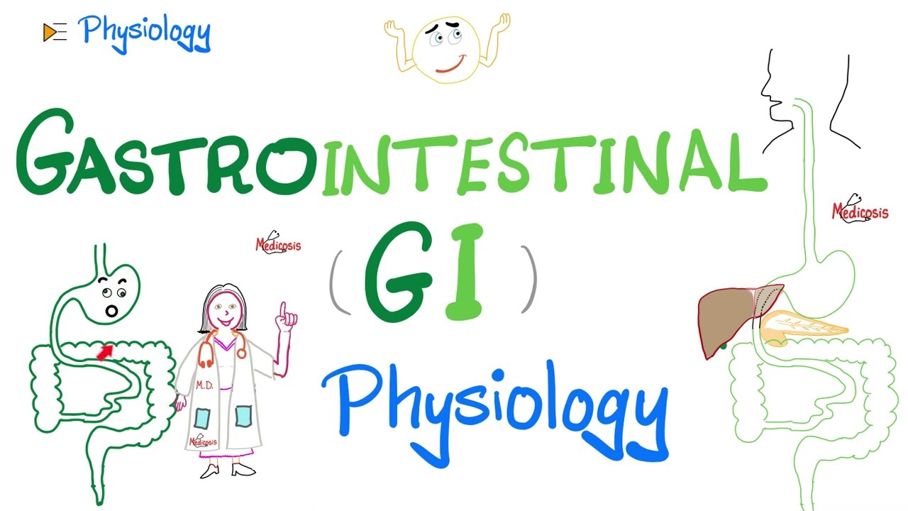 Gastrointestinal (GI) Physiology…The Basics (Introduction) | Physiology Series