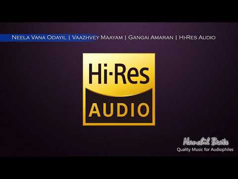 Neela Vana Odayil | Vaazhvey Maayam | Gangai Amaran | S.P.B | Hi-Res Audio
