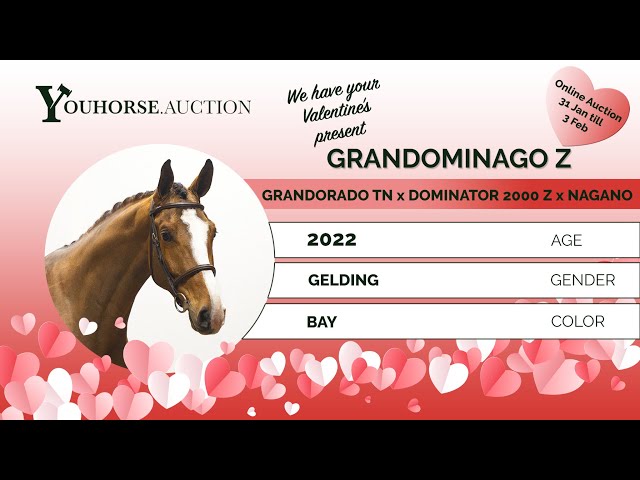 Grandominago z