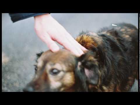 Christopher Scullion - I'm goin home soon