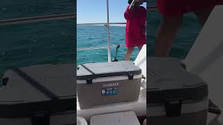 When you ditch the fickle folk in the group chat | Baldgirlwilltravel #shorts