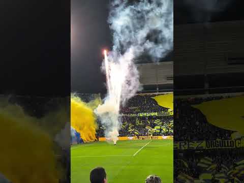 "Recibimiento frente a Aldosivi, Clausura 2026." Barra: Los Guerreros &bull; Club: Rosario Central