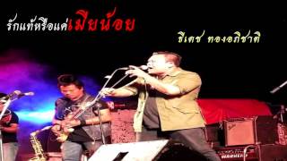 รักแท้หรือแค่เมียน้อย – ธีเดช ทองอภิชาติ