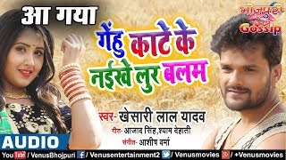 Gehu Kate Ke Naikhe Lur Balam - गेहूँ काटे के नईखे लूर बलम - Khesari Lal Yadav - Chaita Song Release