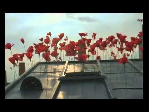 Jil is Lucky - The Wanderer - FlowerByKenzo 2010