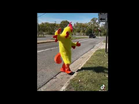 Não há lugar como a casa, corte o frango KungFu