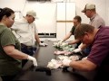 CL EmbryoTransferClass Wmv