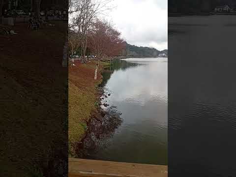 Lago São Bernardo em São Francisco de Paula - RS 🍃 #turismo #paisagemnatural