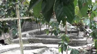 Que es obd 00522 Great wall