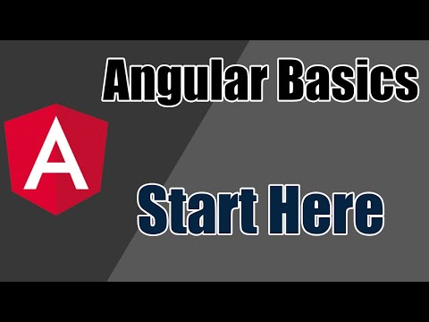 Beginner's Guide - Understanding an angular project