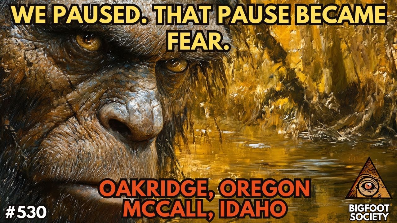 We Paused. That Pause Became Fear.