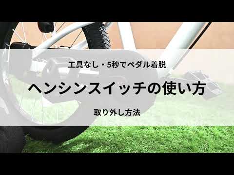 16型 幼児用自転車 キックバイク ディーバイクマスターフィット 16型 幼児用自転車 キックバイク ディーバイクマスターフィット