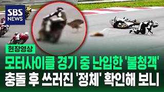 모터사이클 경기장에 뛰어든 고라니