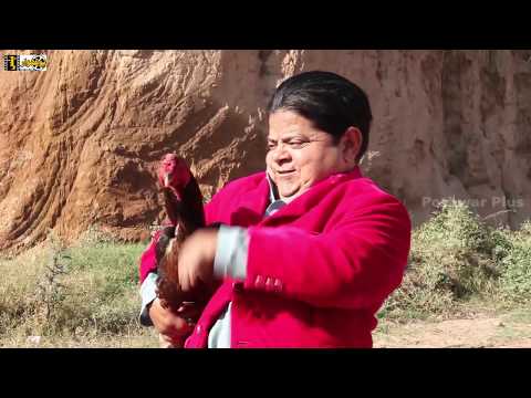 Rolla Murgay Ka | Shahzada ghaffar  | Pothwari drama 2020