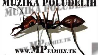 MUZIKA POLUDELIH-----------------M.A.M.A