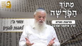 הרב איתמר אורבך | ושמי ה': לאבות ולבנים | פרשת וארא | כ"ו טבת תשפ"ו | ישיבת מרכז הרב (ישיבת מרכז הרב) - התמונה מוצגת ישירות מתוך אתר האינטרנט יוטיוב. זכויות היוצרים בתמונה שייכות ליוצרה. קישור קרדיט למקור התוכן נמצא בתוך דף הסרטון