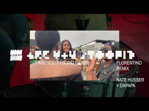 Moonshine, Nate Husser, Dapapa & Florentino - are you stoopid (dumb) (Florentino remix visualizer)