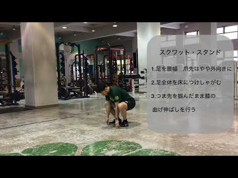 体育学科 スクワット・スタンド