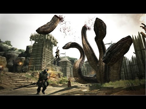 Dragon's Dogma - Road Of Dedication (Hydra Head Escort) Extended (1 hour)