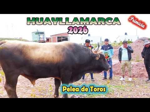 HUAYLLAMARCA 2026  "Maju en Huayllamarca". (Video Oficial) de ALPRO BO.