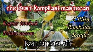 Download lagu KOMPILASI MASTERAN dahsyat untuk murai batu, Kacer, cucak ijo,paling banyak di cari , kombinasi air mp3 Download lagu KOMPILASI MASTERAN dahsyat untuk murai batu, Kacer, cucak ijo,paling banyak di cari , kombinasi air mp3